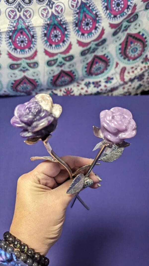 A person holding two purple roses in their hand.