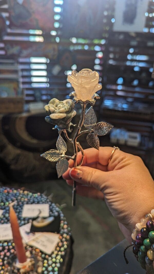 A person holding a rose in their hand.