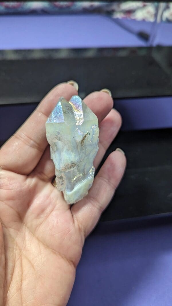 A hand holding an animal head rock in front of a window.