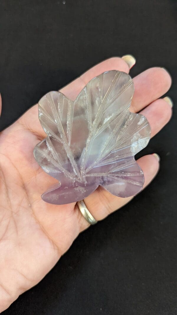 A person holding an amethyst leaf in their hand.