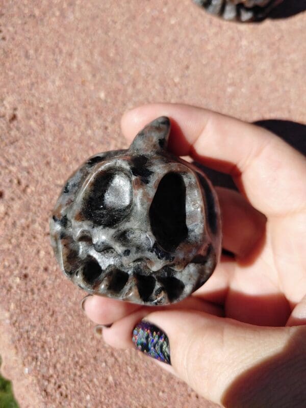 A person holding a skull shaped object in their hand.