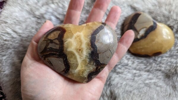 A person holding onto a stone with a pattern on it