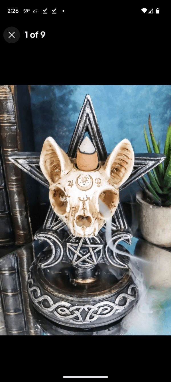 A cat skull sitting on top of a star.