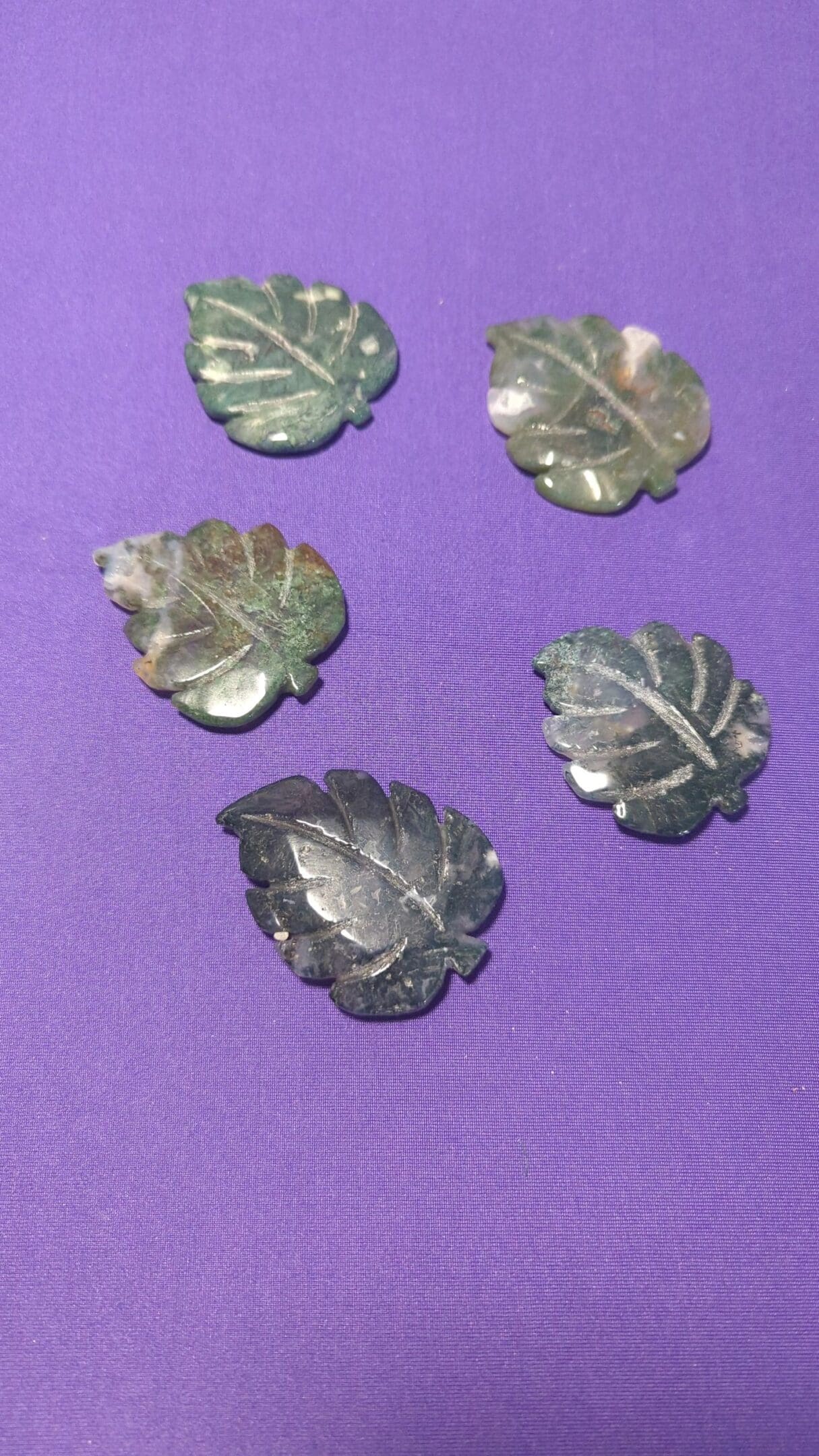 A close up of some leaves on a purple surface