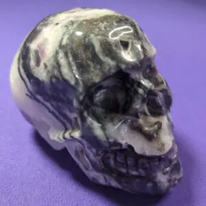 A skull is sitting on the ground and has purple background.