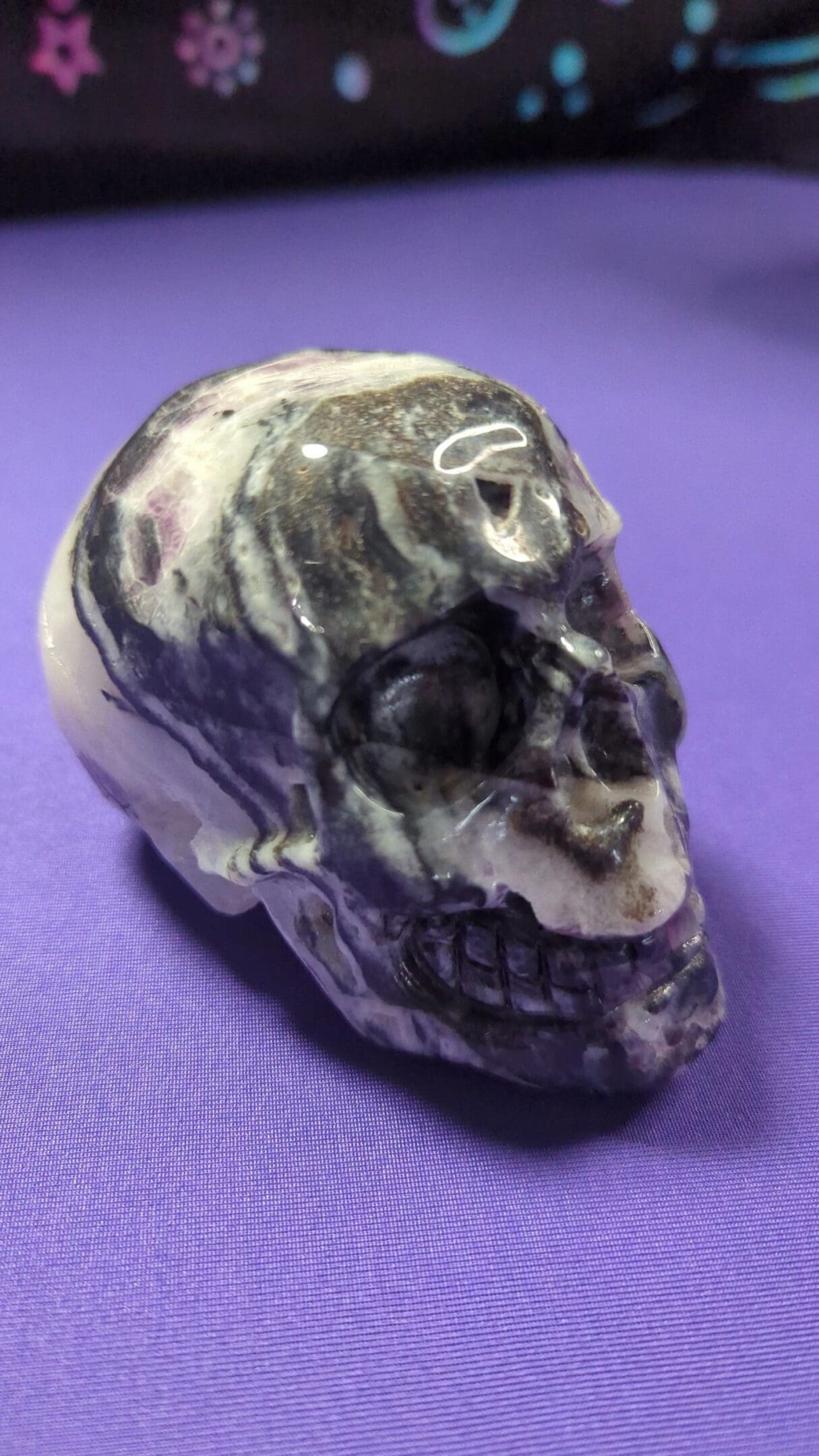 A skull is sitting on the ground and has purple background.