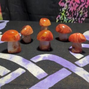 A group of orange mushrooms sitting on top of a table.