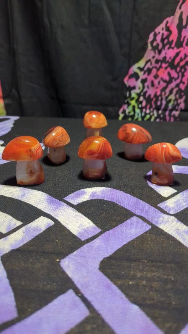 A group of orange mushrooms sitting on top of a table.