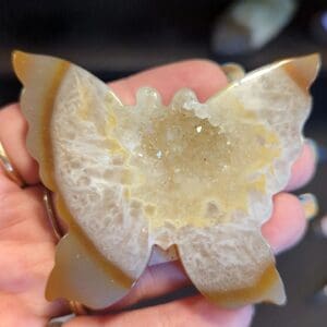 A person holding an orange butterfly shaped object.