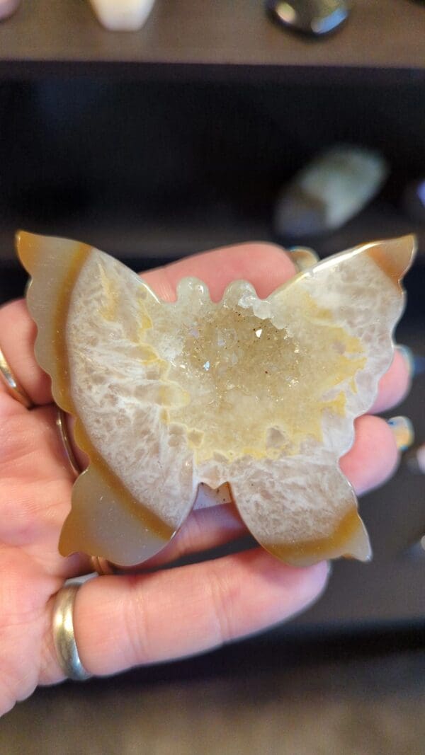 A person holding an orange butterfly shaped object.