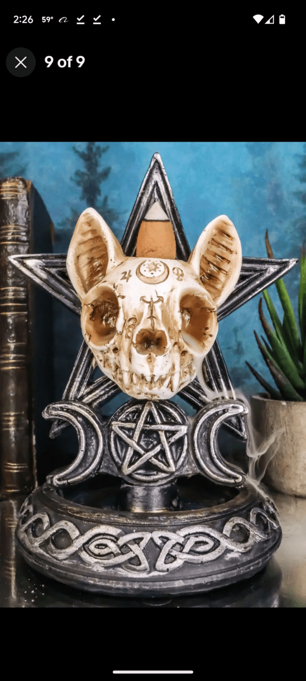 A cat skull sitting on top of a pentagram.