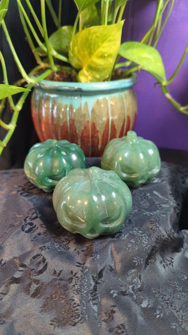 Three green pumpkins sitting on a rock near a plant.