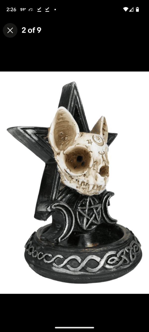 A cat skull sitting on top of a black star.