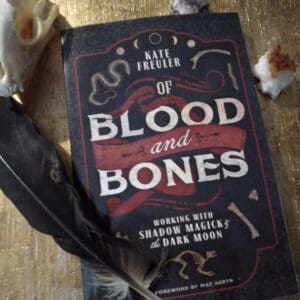 A book with writing on it laying next to feathers.