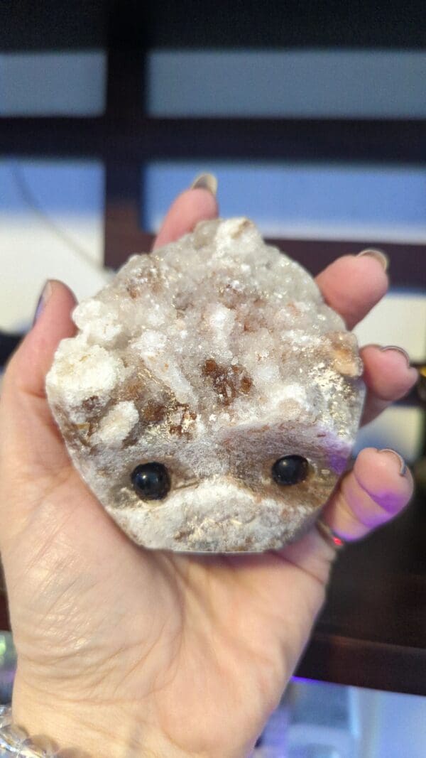 A person holding a rock with eyes on it.