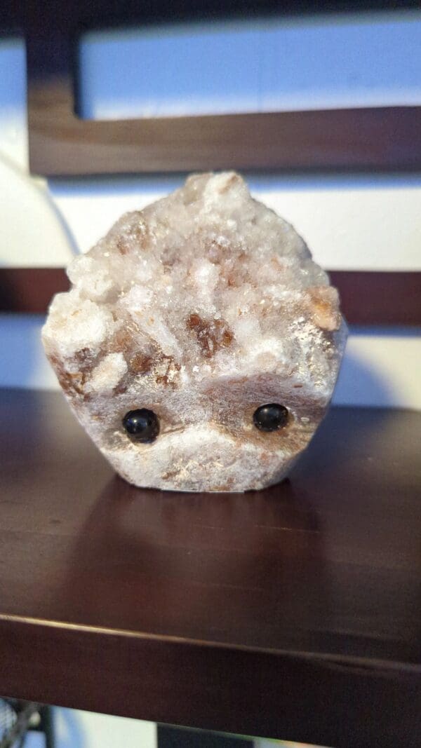 A close up of a rock with eyes