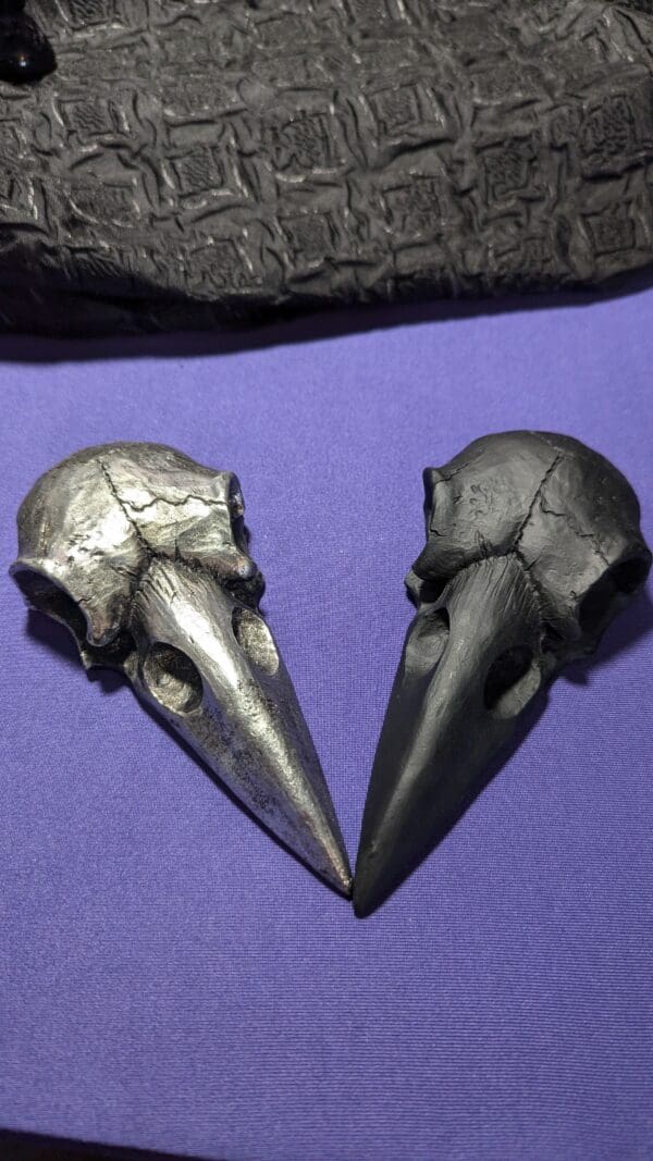 Raven Skull Coffin Mirror