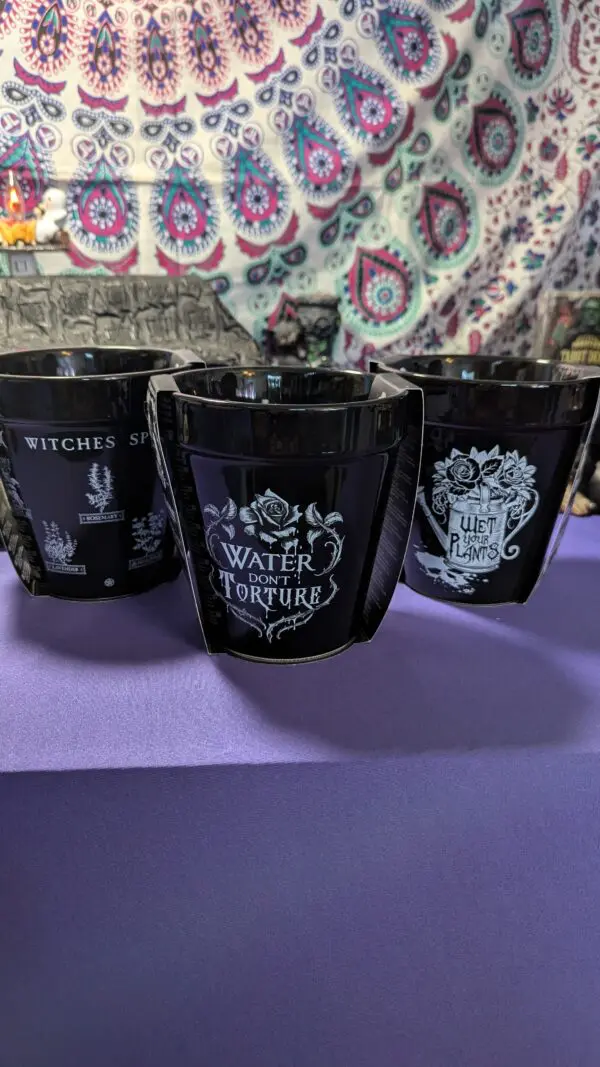 Witchy Ceramic Plant Pots